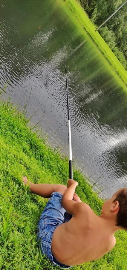 Orupohja Kaempingud Ja Telkimisala Hotel Põlva Eksteriør billede